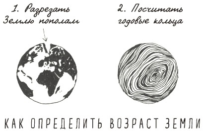 Иллюстрация к книге — Может ли жираф облизать свои уши? [i_352.jpg]