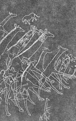 Иллюстрация к книге — Тайны древней Африки [i_006.jpg]