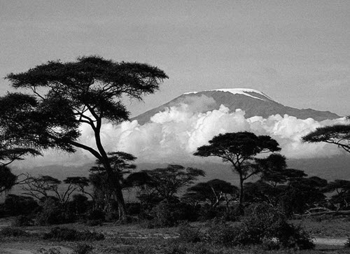 Иллюстрация к книге — Тайны древней Африки [i_043.jpg]