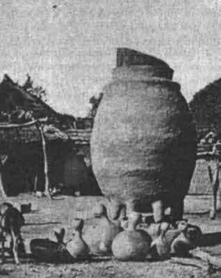 Иллюстрация к книге — Тайны древней Африки [i_059.jpg]