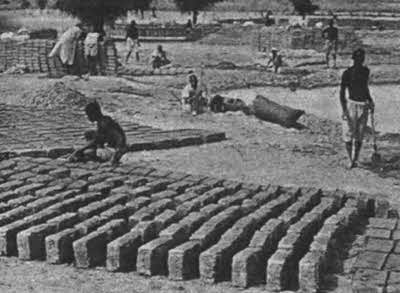 Иллюстрация к книге — Тайны древней Африки [i_060.jpg]