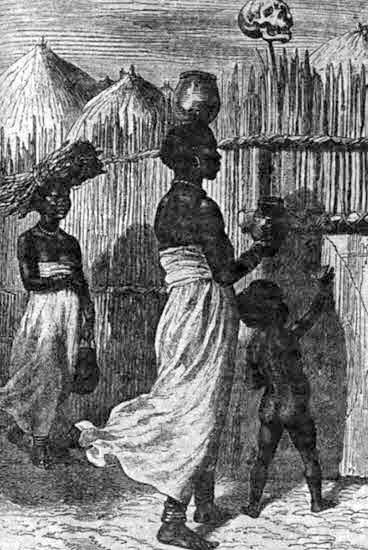 Иллюстрация к книге — Тайны древней Африки [i_064.jpg]