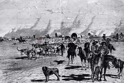 Иллюстрация к книге — Тайны древней Африки [i_081.jpg]