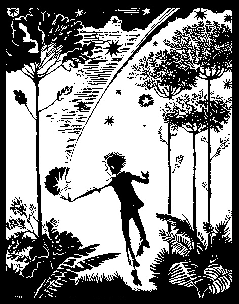 Иллюстрация к книге — Ночной сторож, или семь занимательных историй, рассказанных в городе Немухине в тысяча девятьсот неизвестном году [i_013.jpg]