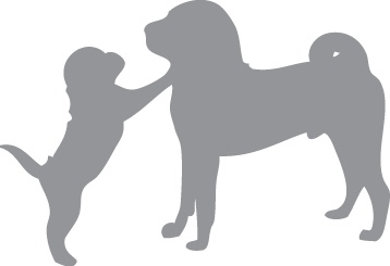 Иллюстрация к книге — «Вожак стаи». Полное руководство по дрессировке и воспитанию собак [i_002.jpg]