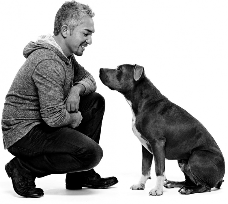 Иллюстрация к книге — «Вожак стаи». Полное руководство по дрессировке и воспитанию собак [i_005.jpg]