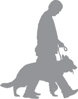 Иллюстрация к книге — «Вожак стаи». Полное руководство по дрессировке и воспитанию собак [i_007.jpg]