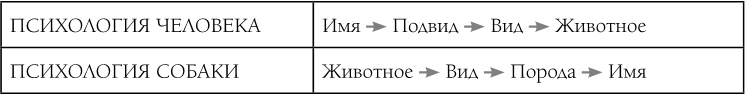 Иллюстрация к книге — «Вожак стаи». Полное руководство по дрессировке и воспитанию собак [i_013.jpg]