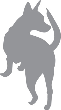 Иллюстрация к книге — «Вожак стаи». Полное руководство по дрессировке и воспитанию собак [i_021.jpg]