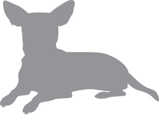 Иллюстрация к книге — «Вожак стаи». Полное руководство по дрессировке и воспитанию собак [i_025.jpg]