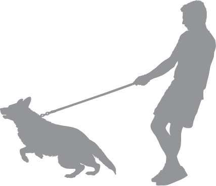 Иллюстрация к книге — «Вожак стаи». Полное руководство по дрессировке и воспитанию собак [i_031.jpg]