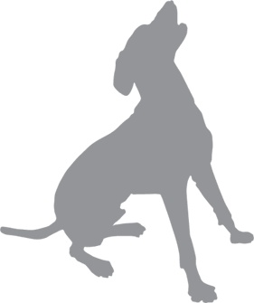 Иллюстрация к книге — «Вожак стаи». Полное руководство по дрессировке и воспитанию собак [i_037.jpg]