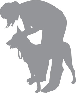 Иллюстрация к книге — «Вожак стаи». Полное руководство по дрессировке и воспитанию собак [i_039.jpg]