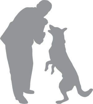 Иллюстрация к книге — «Вожак стаи». Полное руководство по дрессировке и воспитанию собак [i_043.jpg]