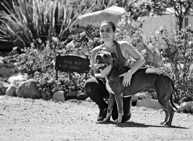 Иллюстрация к книге — «Вожак стаи». Полное руководство по дрессировке и воспитанию собак [i_050.jpg]