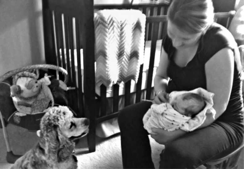 Иллюстрация к книге — «Вожак стаи». Полное руководство по дрессировке и воспитанию собак [i_051.jpg]