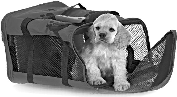 Иллюстрация к книге — «Вожак стаи». Полное руководство по дрессировке и воспитанию собак [i_052.jpg]