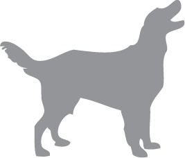 Иллюстрация к книге — «Вожак стаи». Полное руководство по дрессировке и воспитанию собак [i_059.jpg]