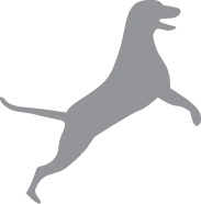 Иллюстрация к книге — «Вожак стаи». Полное руководство по дрессировке и воспитанию собак [i_060.jpg]