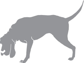 Иллюстрация к книге — «Вожак стаи». Полное руководство по дрессировке и воспитанию собак [i_065.jpg]