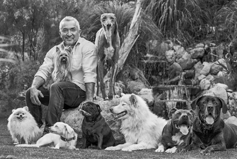 Иллюстрация к книге — «Вожак стаи». Полное руководство по дрессировке и воспитанию собак [i_066.jpg]