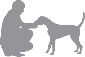 Иллюстрация к книге — «Вожак стаи». Полное руководство по дрессировке и воспитанию собак [i_068.jpg]