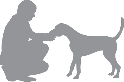 Иллюстрация к книге — «Вожак стаи». Полное руководство по дрессировке и воспитанию собак [i_073.jpg]