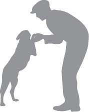 Иллюстрация к книге — «Вожак стаи». Полное руководство по дрессировке и воспитанию собак [i_074.jpg]