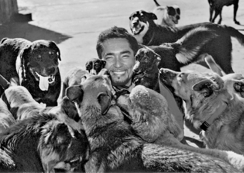 Иллюстрация к книге — «Вожак стаи». Полное руководство по дрессировке и воспитанию собак [i_085.jpg]