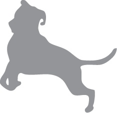 Иллюстрация к книге — «Вожак стаи». Полное руководство по дрессировке и воспитанию собак [i_087.jpg]