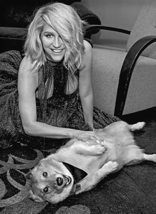 Иллюстрация к книге — «Вожак стаи». Полное руководство по дрессировке и воспитанию собак [i_089.jpg]