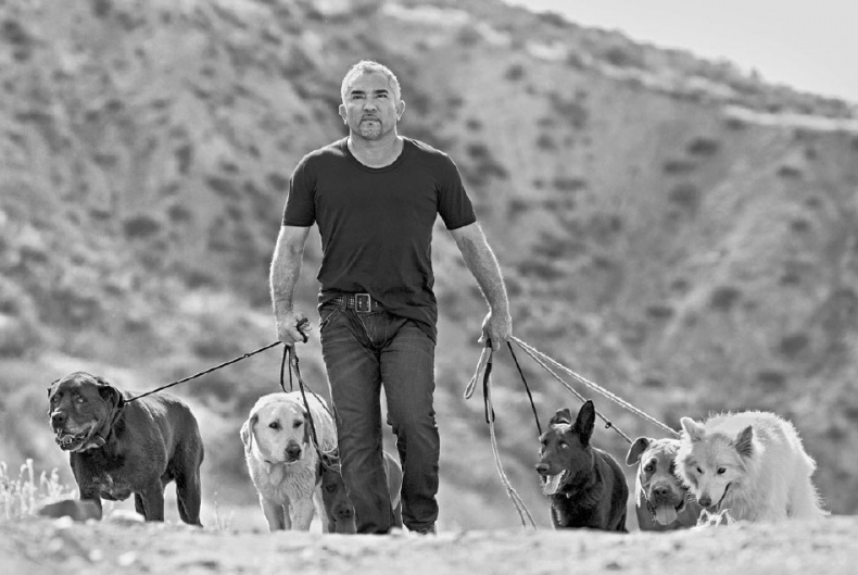 Иллюстрация к книге — «Вожак стаи». Полное руководство по дрессировке и воспитанию собак [i_091.jpg]