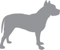 Иллюстрация к книге — «Вожак стаи». Полное руководство по дрессировке и воспитанию собак [i_093.jpg]