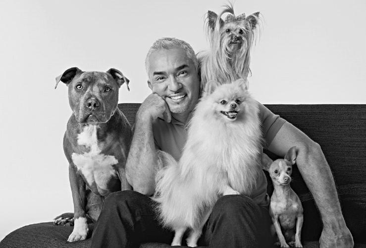 Иллюстрация к книге — Уроки для «Вожака стаи» [i_003.jpg]