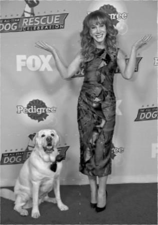 Иллюстрация к книге — Уроки для «Вожака стаи» [i_022.jpg]