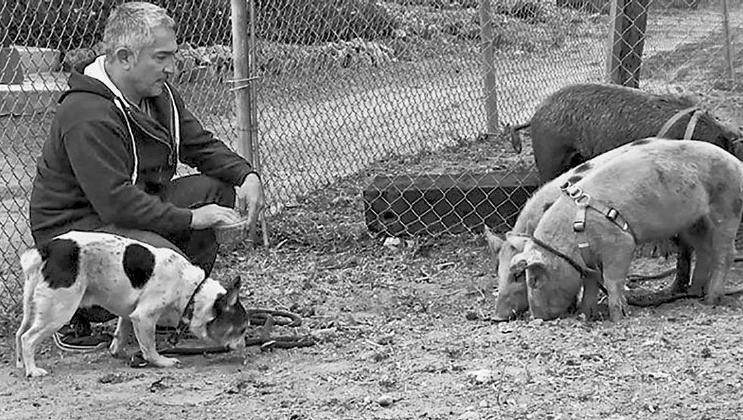 Иллюстрация к книге — Уроки для «Вожака стаи» [i_029.jpg]