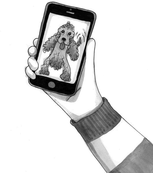 Иллюстрация к книге — Миндальное сердце  [i_012.jpg]