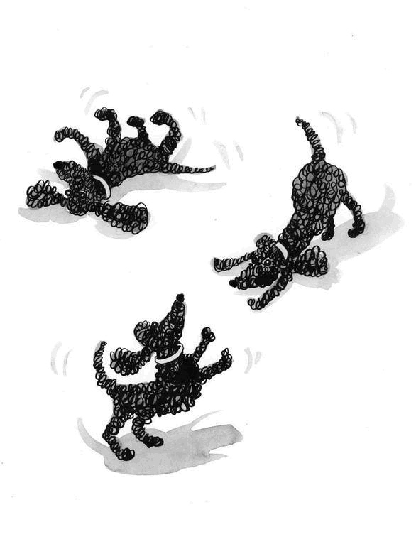 Иллюстрация к книге — Миндальное сердце  [i_014.jpg]