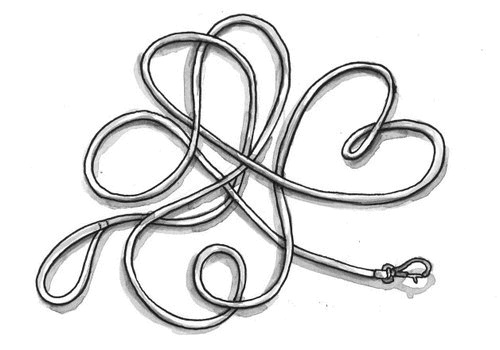 Иллюстрация к книге — Миндальное сердце  [i_021.jpg]