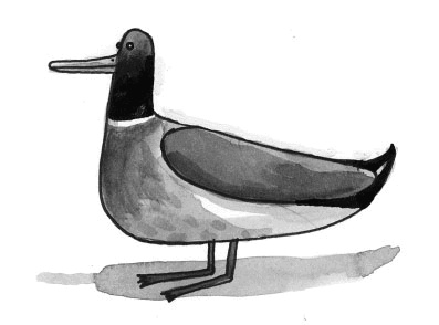 Иллюстрация к книге — Миндальное сердце  [i_023.jpg]