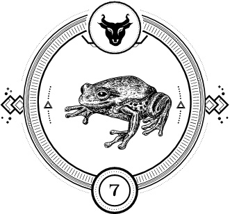 Иллюстрация к книге — Силуэт в разбитом зеркале [i_009.jpg]