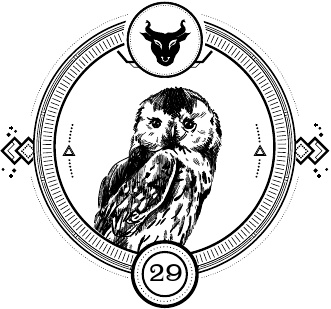 Иллюстрация к книге — Силуэт в разбитом зеркале [i_031.jpg]