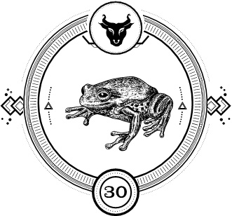 Иллюстрация к книге — Силуэт в разбитом зеркале [i_032.jpg]