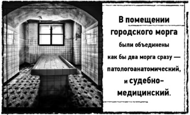 Иллюстрация к книге — Тень «Райского сада»  [i_014.jpg]