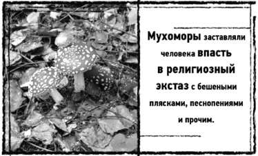 Иллюстрация к книге — Тень «Райского сада»  [i_023.jpg]