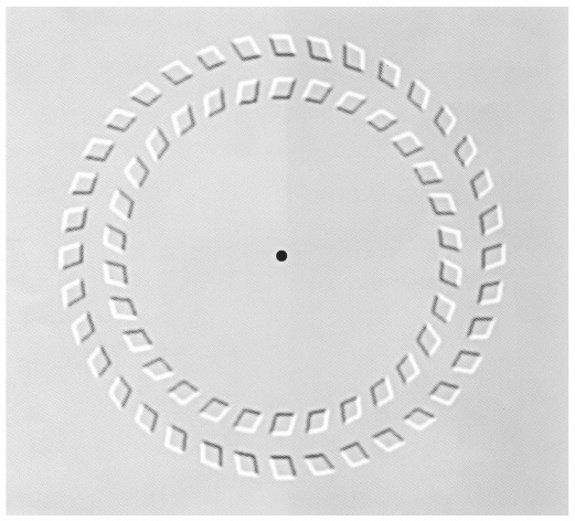 Иллюстрация к книге — Тайный эксперт. Комбинируй, смешивай, создавай прорывные идеи [i_039.jpg]