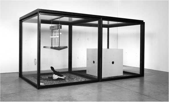 Иллюстрация к книге — Непонятное искусство [i_043.jpg]