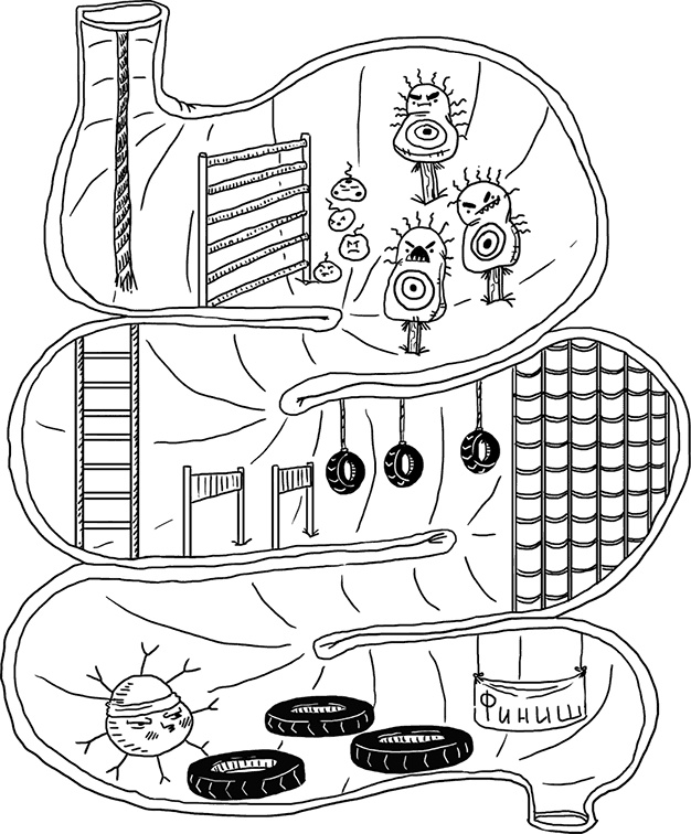 Иллюстрация к книге — Микробы? Мама, без паники, или Как сформировать ребенку крепкий иммунитет [i_020.jpg]