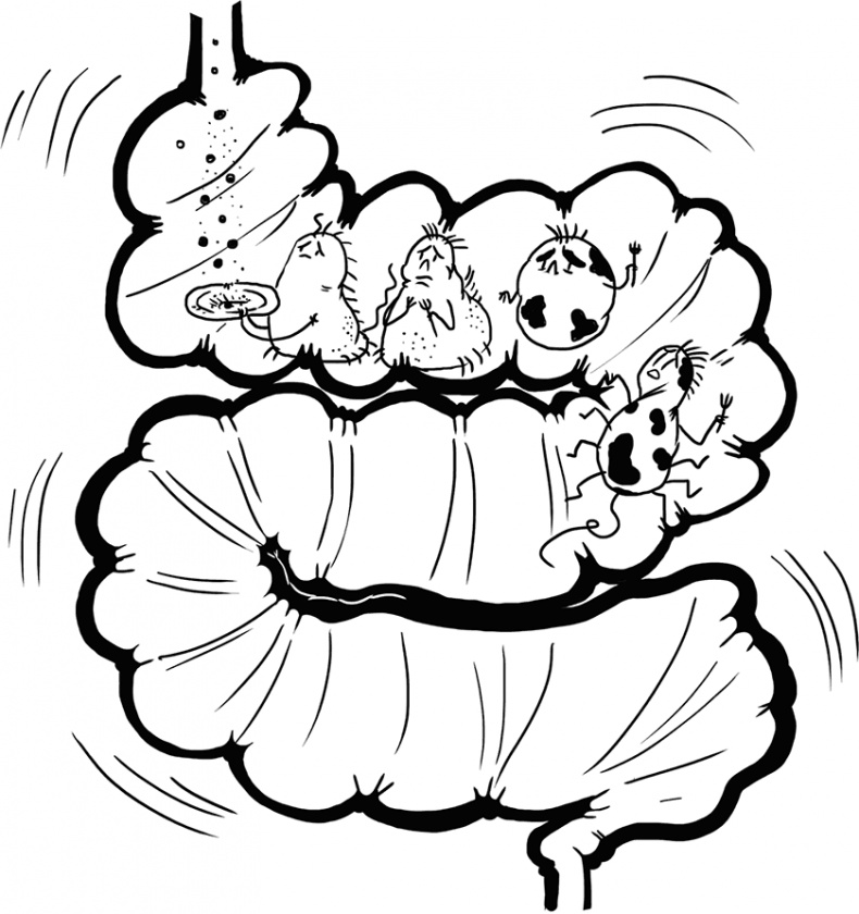 Иллюстрация к книге — Микробы? Мама, без паники, или Как сформировать ребенку крепкий иммунитет [i_105.jpg]