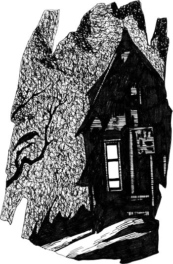 Иллюстрация к книге — Призрак в зеркале [i_015.jpg]